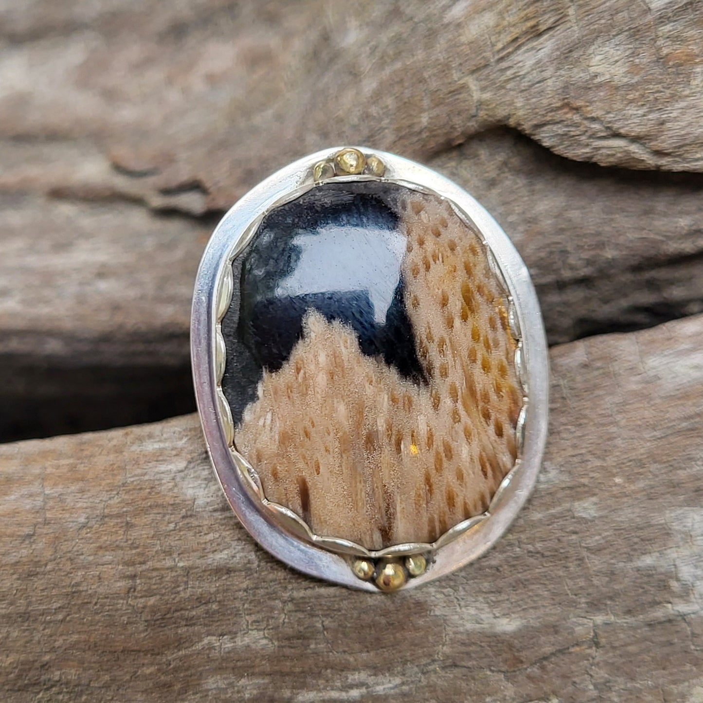 Sterling & 14Kt Gold Ring with Louisiana Palm