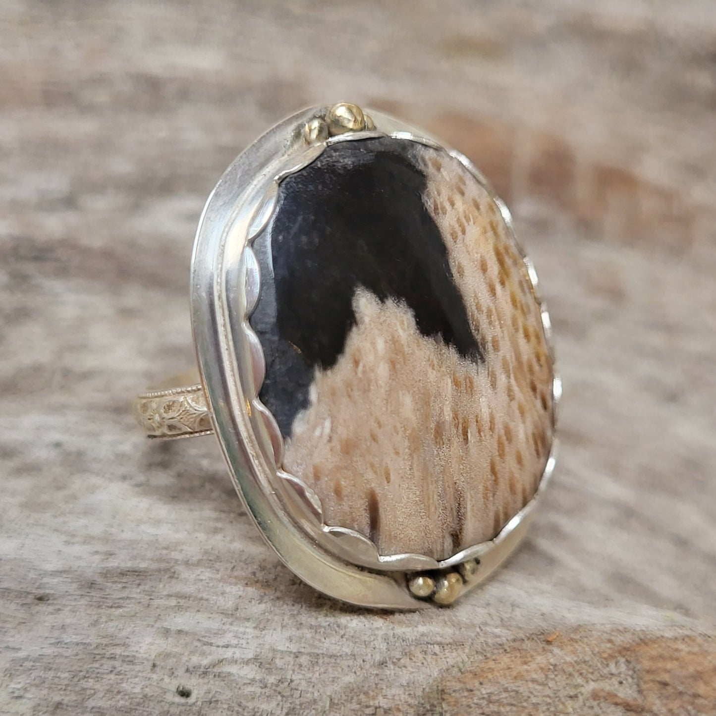 Sterling & 14Kt Gold Ring with Louisiana Palm