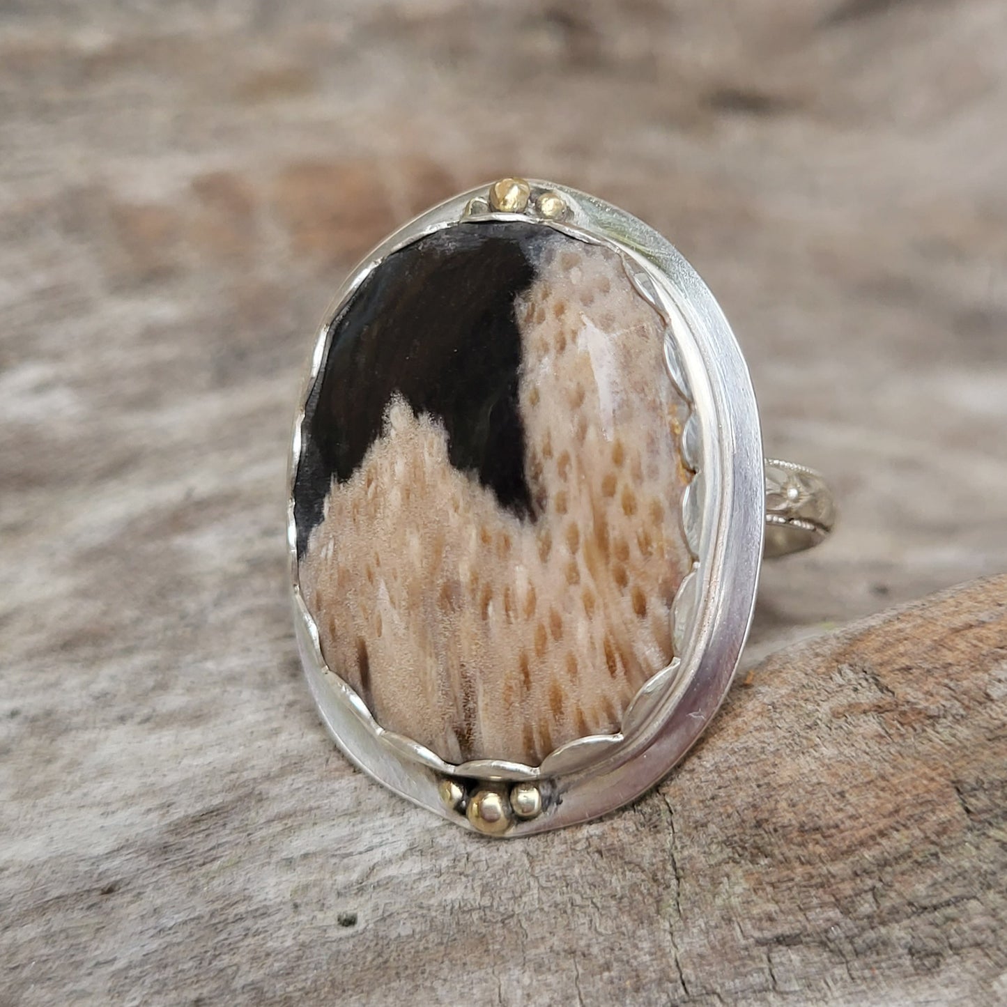 Sterling & 14Kt Gold Ring with Louisiana Palm