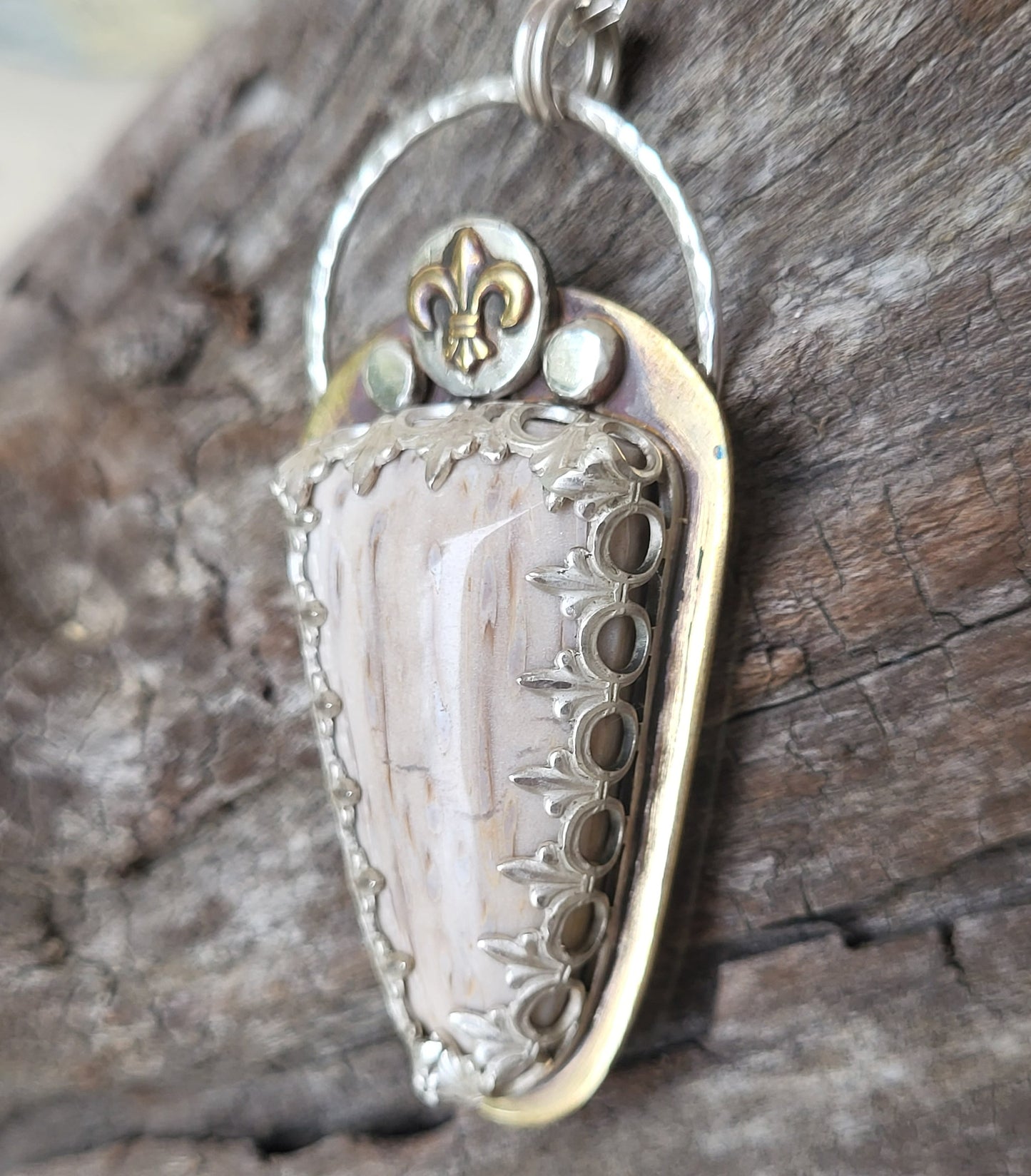 Rare Louisiana Petrified Palm Necklace