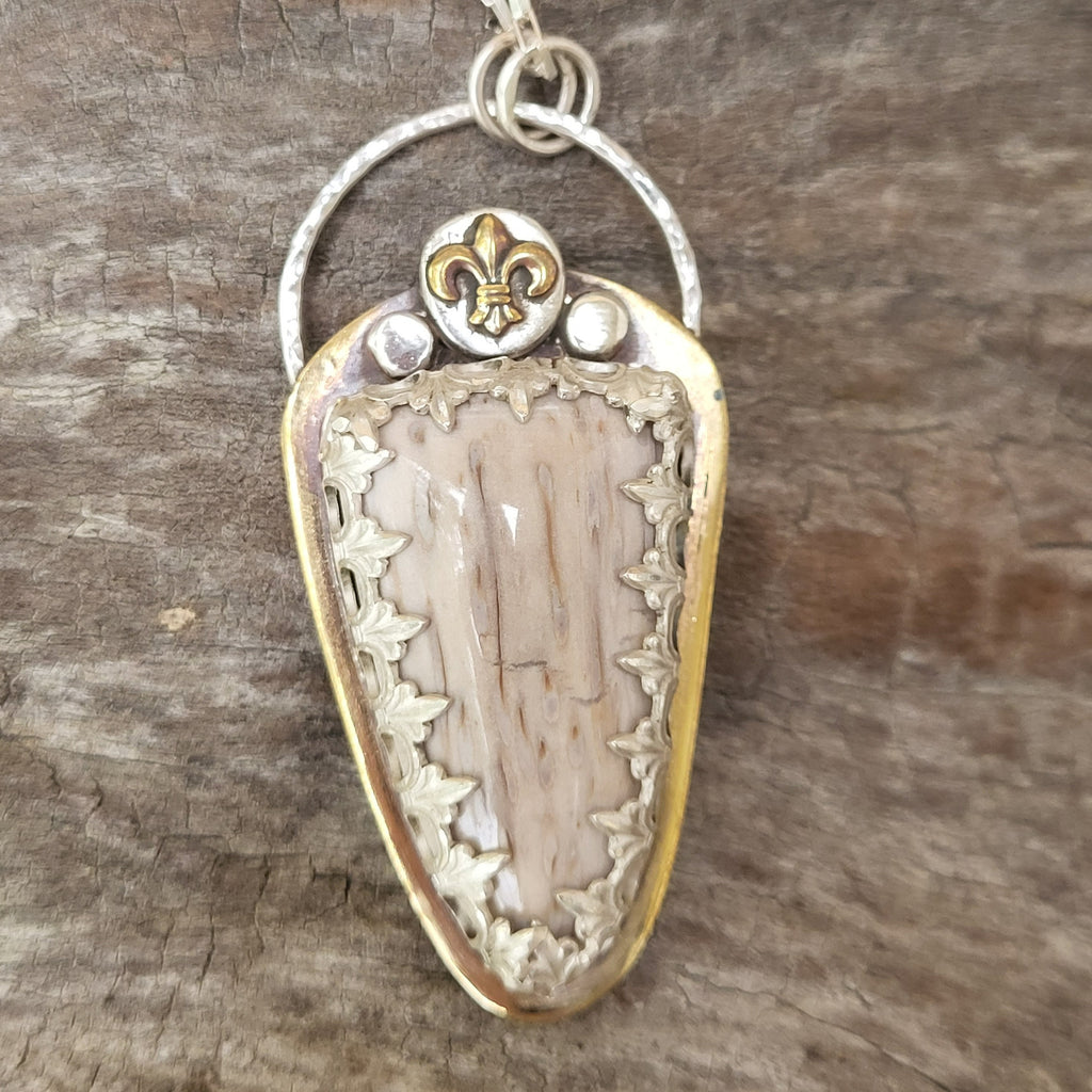 Rare Louisiana Petrified Palm Necklace